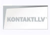 Paus Konsults